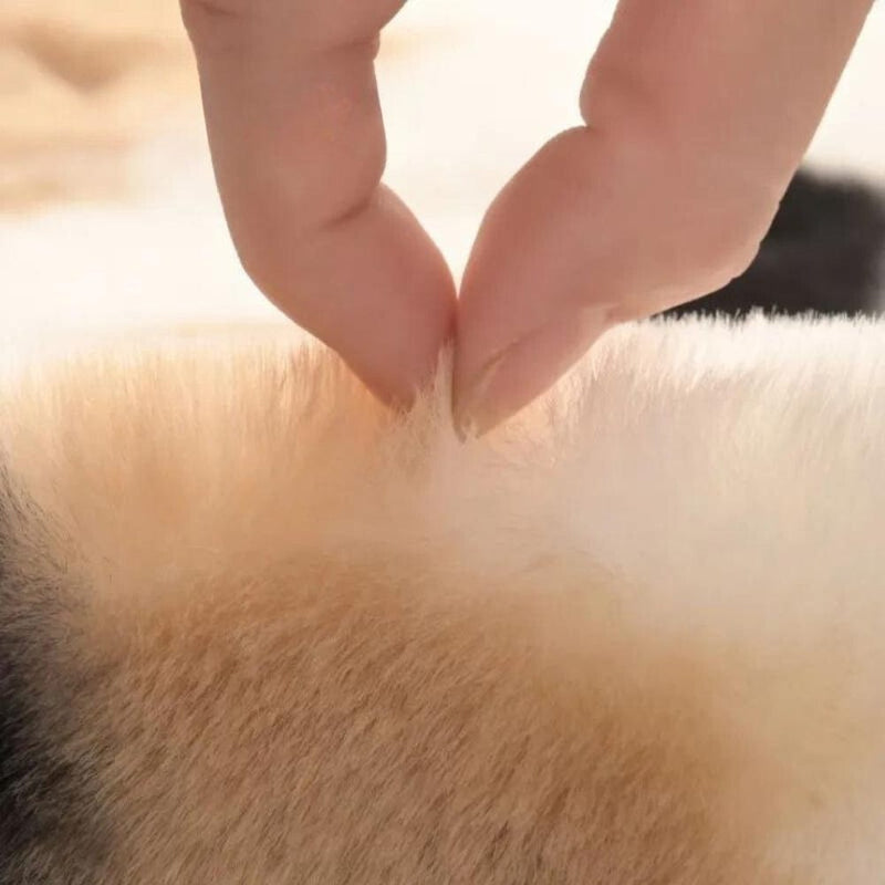 Tapis de Bain Vache